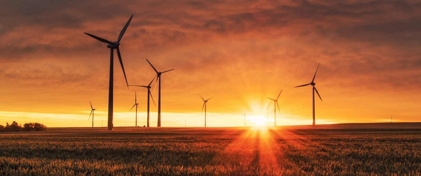 windmill on grass field during golden hour